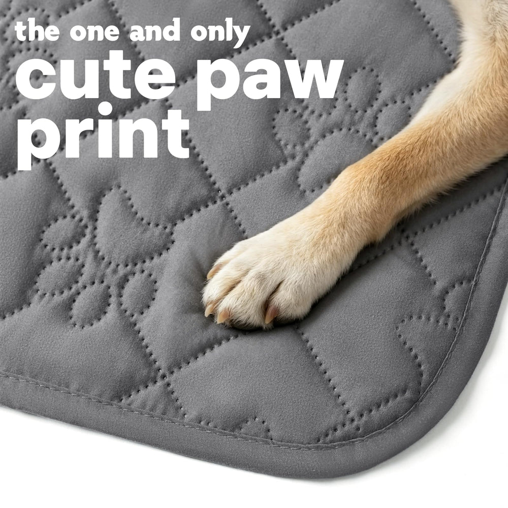 PAWFINITY paw-print quilted fabric detail adds style and daily protection.