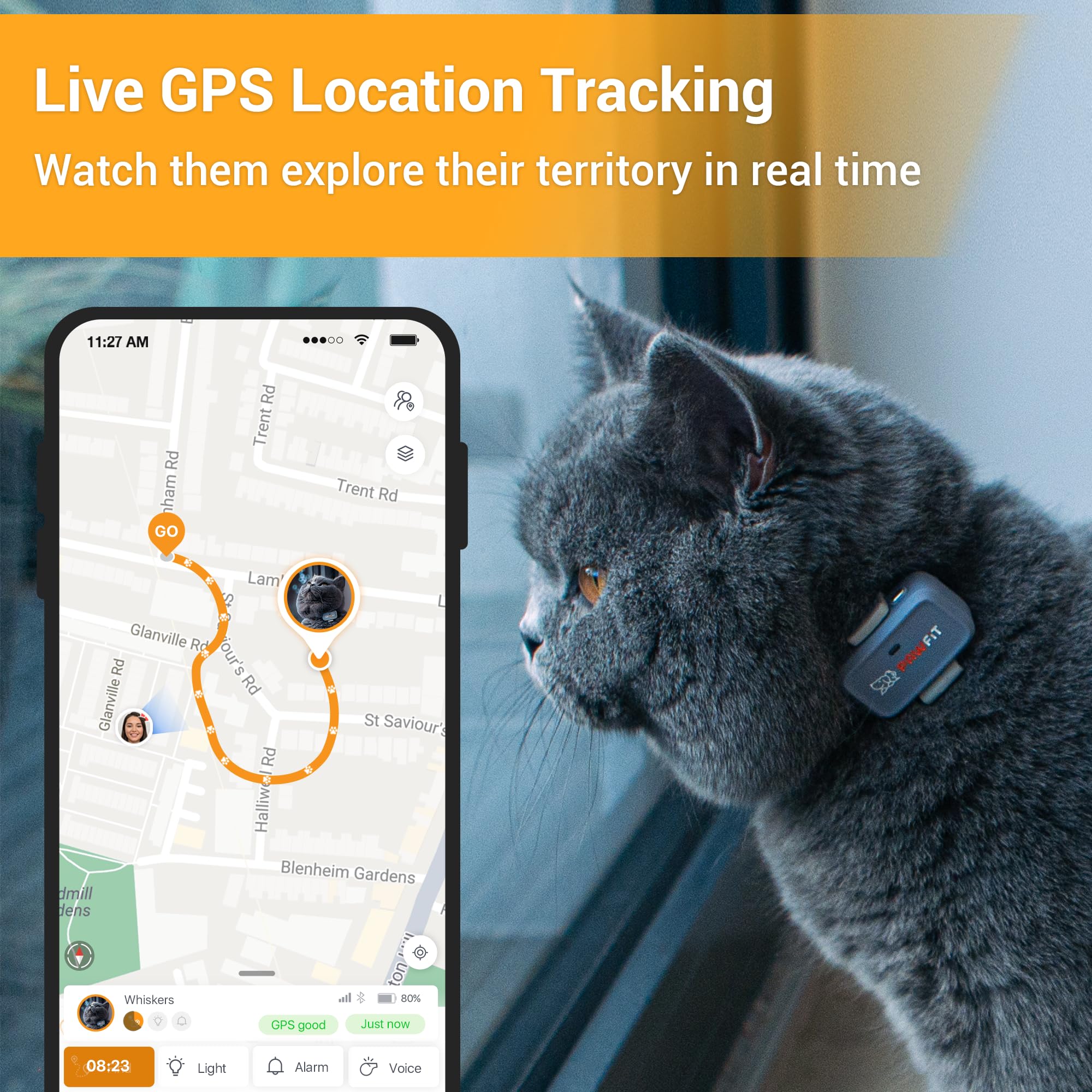 Pawfit Lite on a safety collar to track cats without added weight.