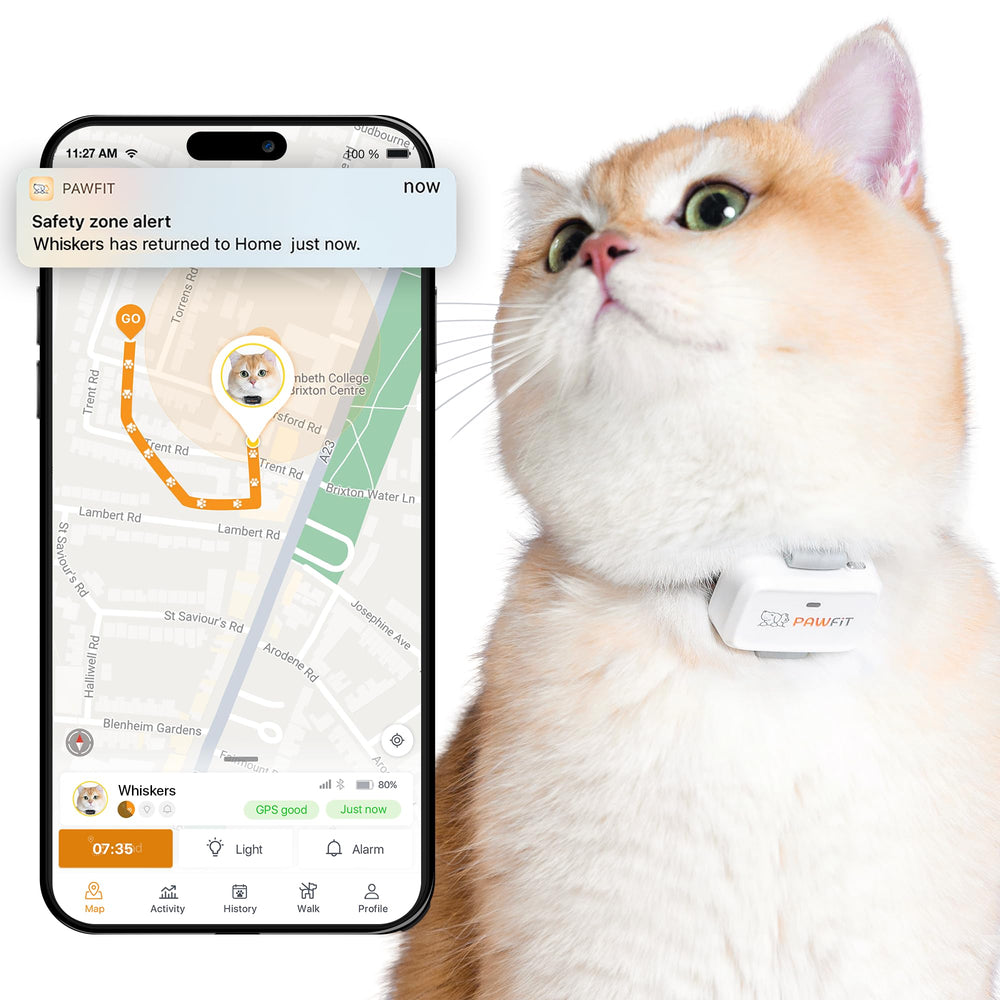 Pawfit Lite cat tracker white front view for precise location monitoring.