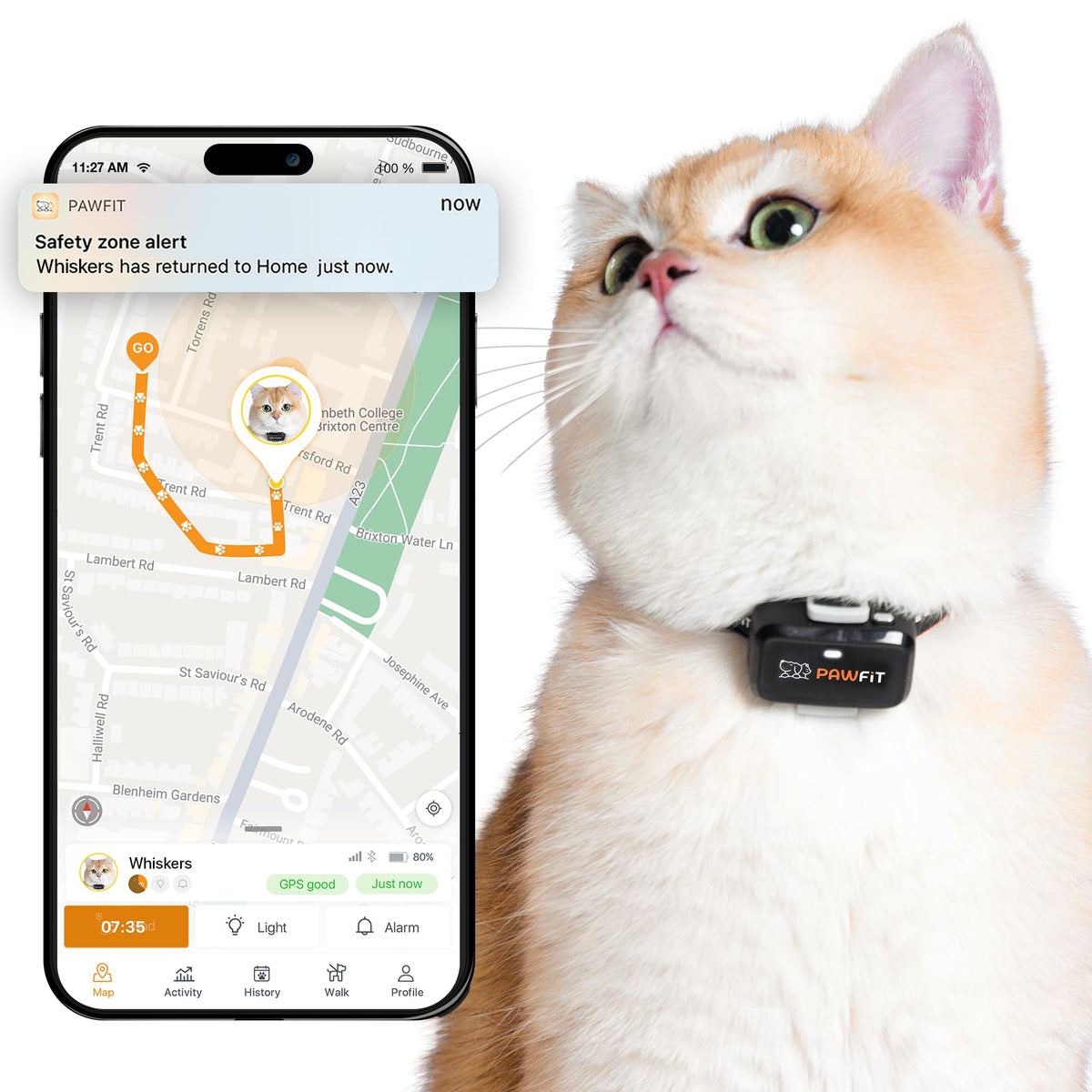 Pawfit Lite on a safety collar shows an ultra-small design for cats.