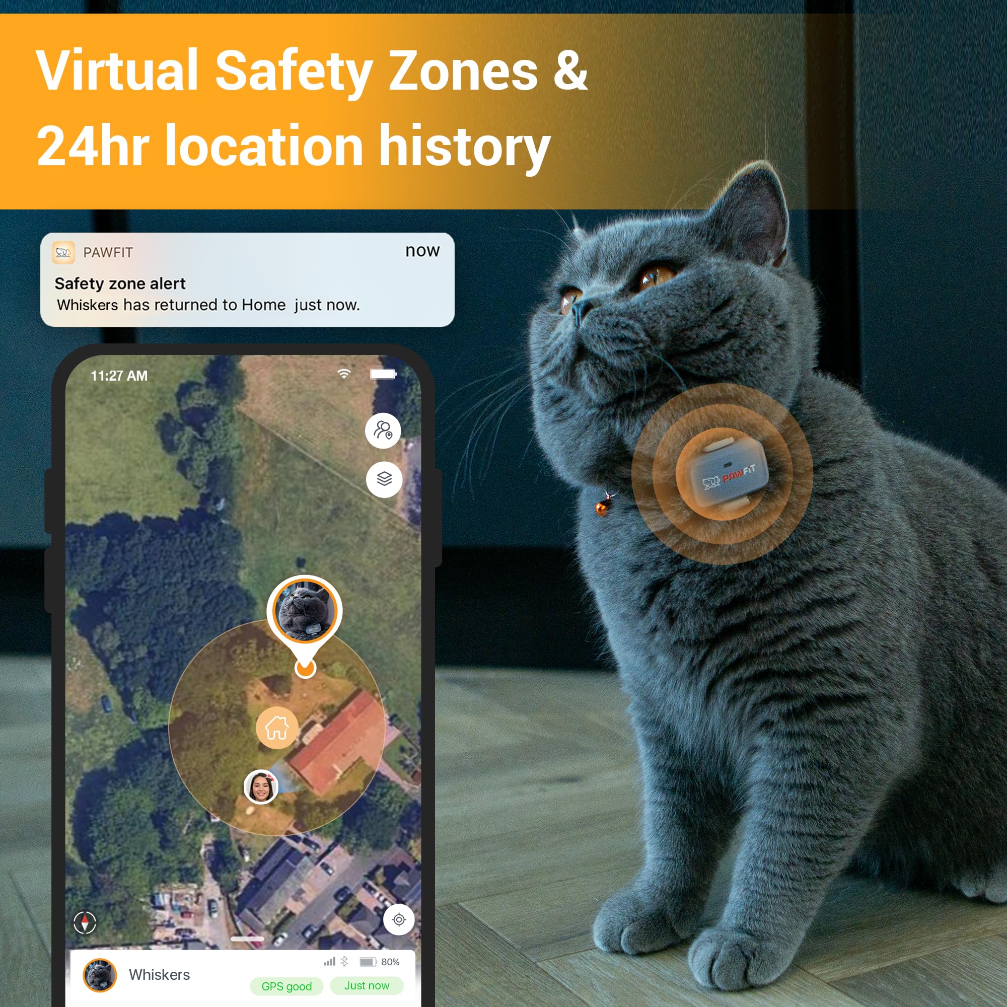 Pawfit Lite real-time GPS map view showing live cat location.