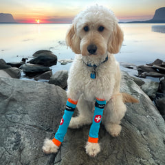 PawFlex Comfy Paws stretchy cotton for gentle, comfortable motion.