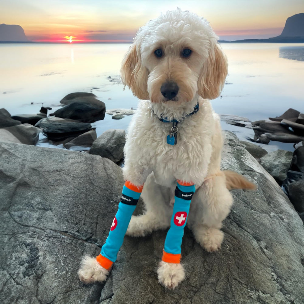 PawFlex Comfy Pawz worn over a leg during outdoor walk