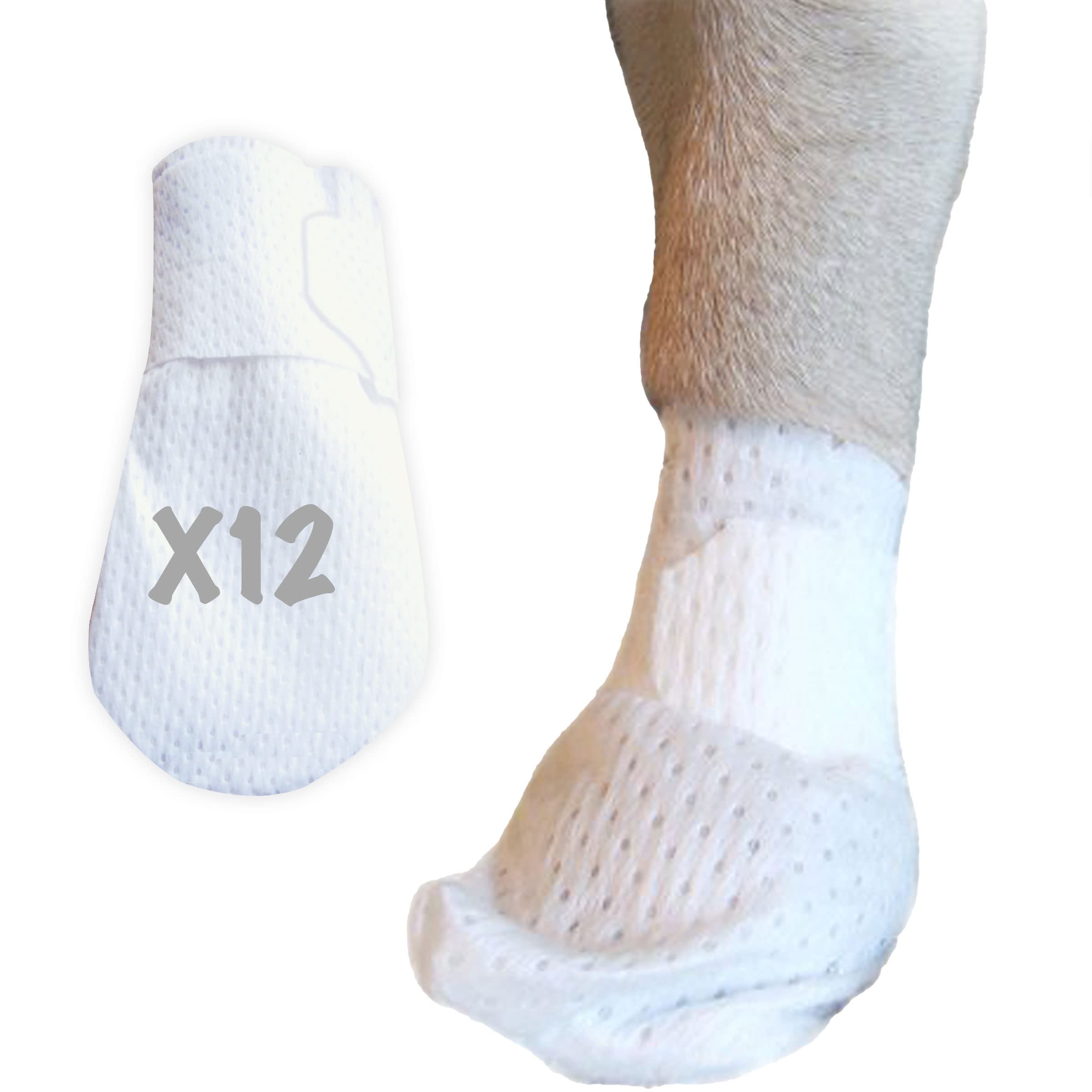 PawFlex Medimitt bandage on a dog paw showing breathable protection.