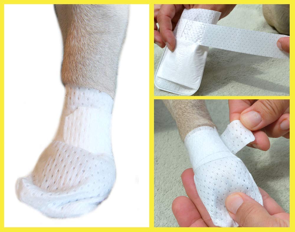 PawFlex Medimitt indoor-use context with recommended guidance.