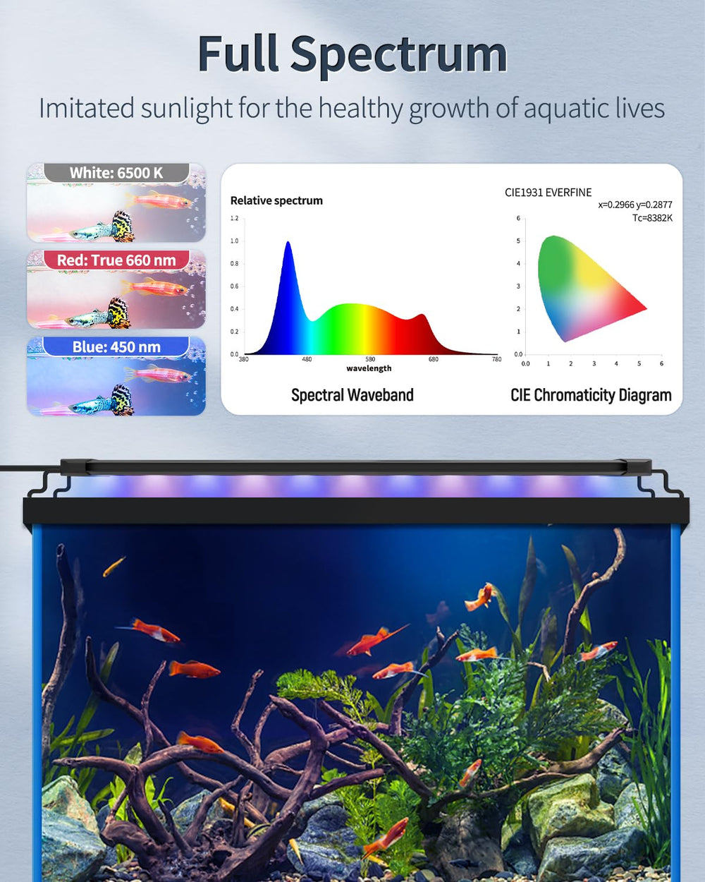 Pawfly 14W brilliant white blue red lights show natural hues for fish and decor.