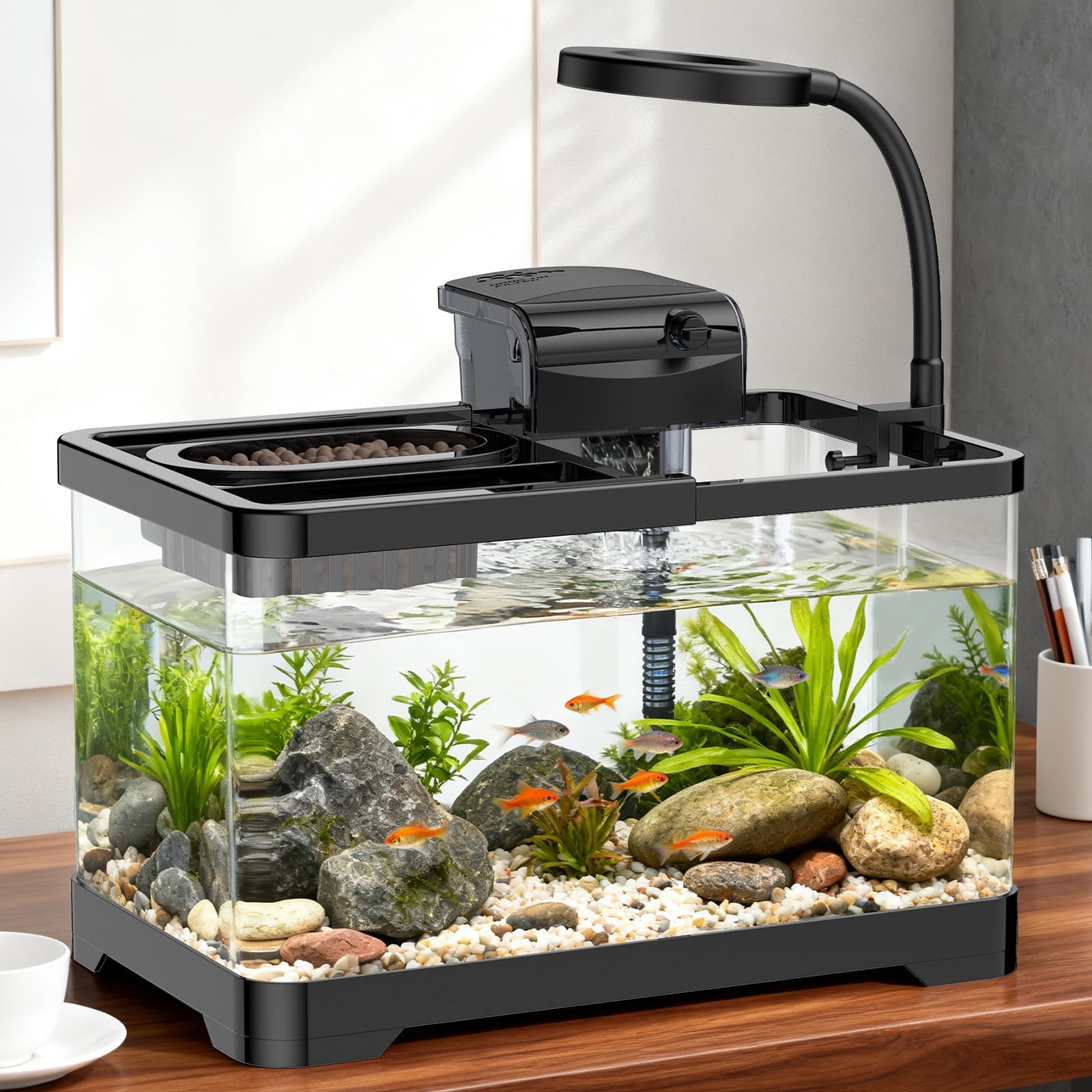 Pawfly 2-Gallon Tank front view, ideal desk display for small fish.
