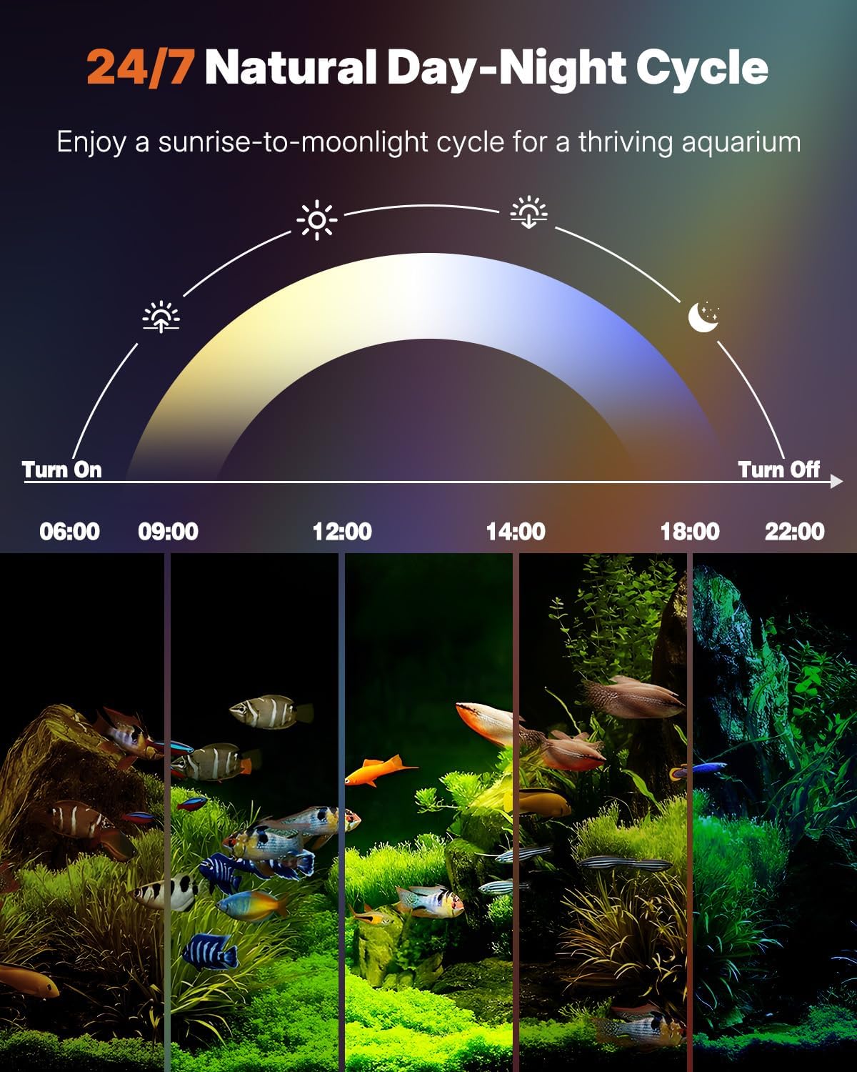 Pawfly 8W LED light demonstrates sunrise to sunset cycle for natural rhythms.