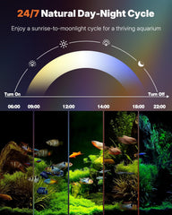 Pawfly 8W LED light demonstrates sunrise to sunset cycle for natural rhythms.