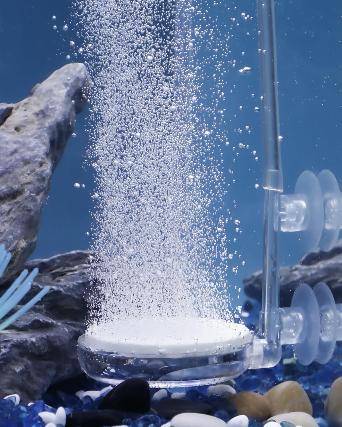 Pawfly air stone disc 2-inch component delivers fine bubbles for oxygenation.