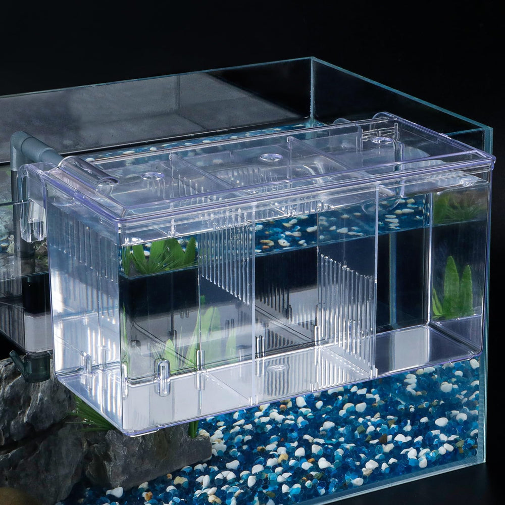 Pawfly aquarium breeding box with large hatchery chamber for fry