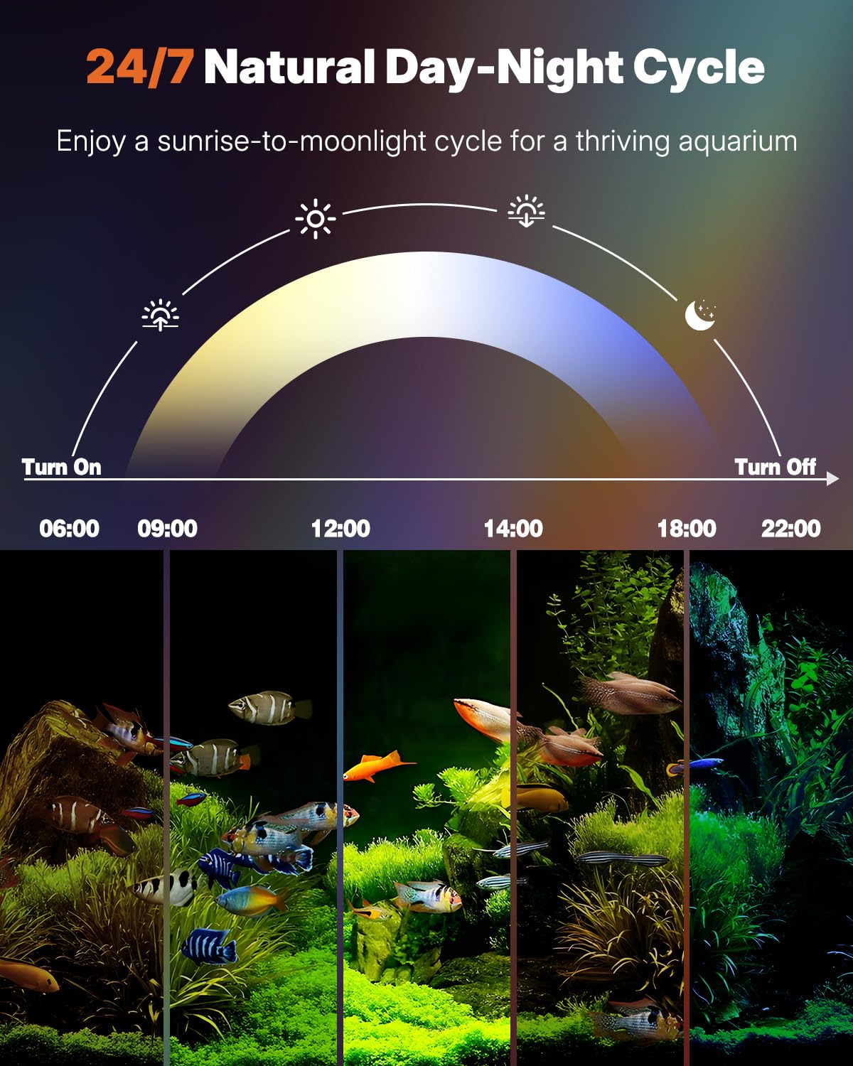 Pawfly dimming and color effects to tailor underwater ambiance