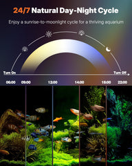 Pawfly dimming and color effects to tailor underwater ambiance