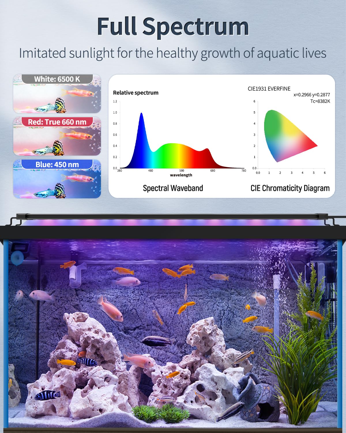 Pawfly night mode blue light creates calm tank ambiance