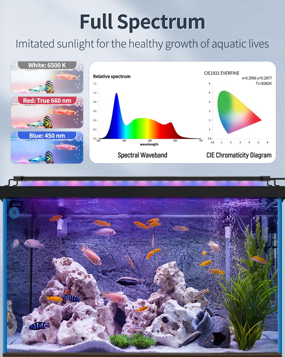 Pawfly night mode blue light creates calm tank ambiance