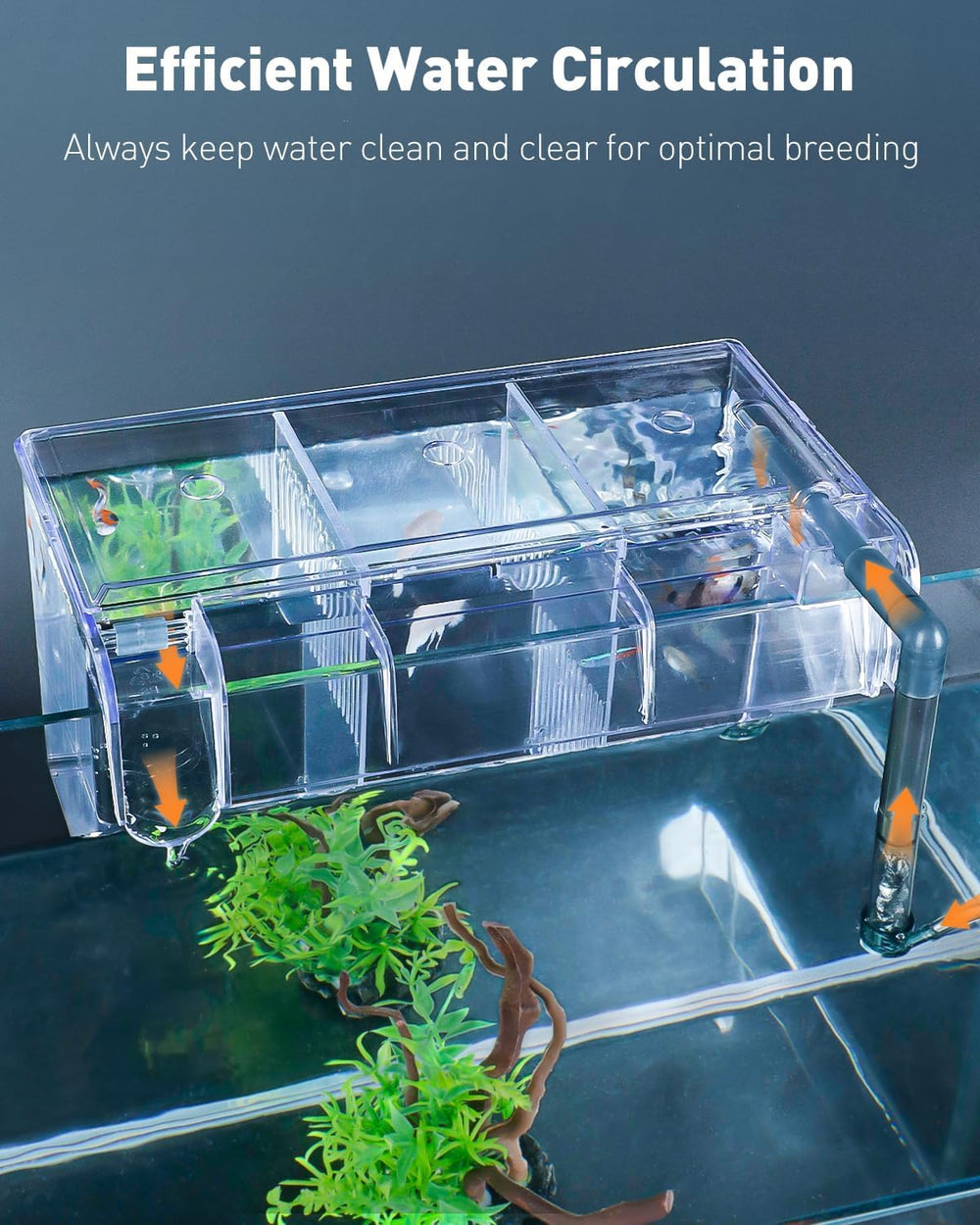Pawfly water inlet pipe enabling gentle water circulation
