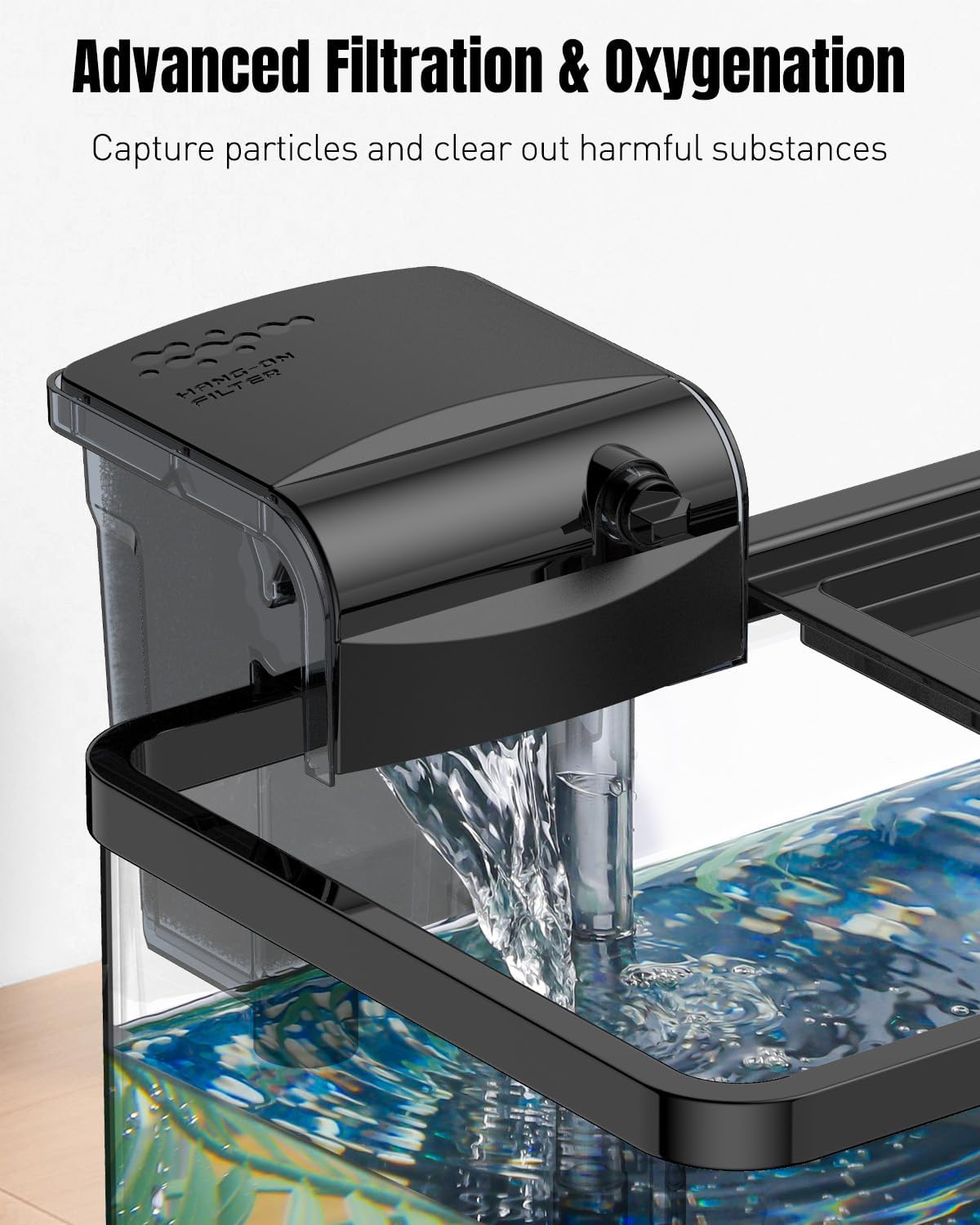 Pawfly crystal-clear 2-gallon tank highlights durable, UV-resistant plastic.