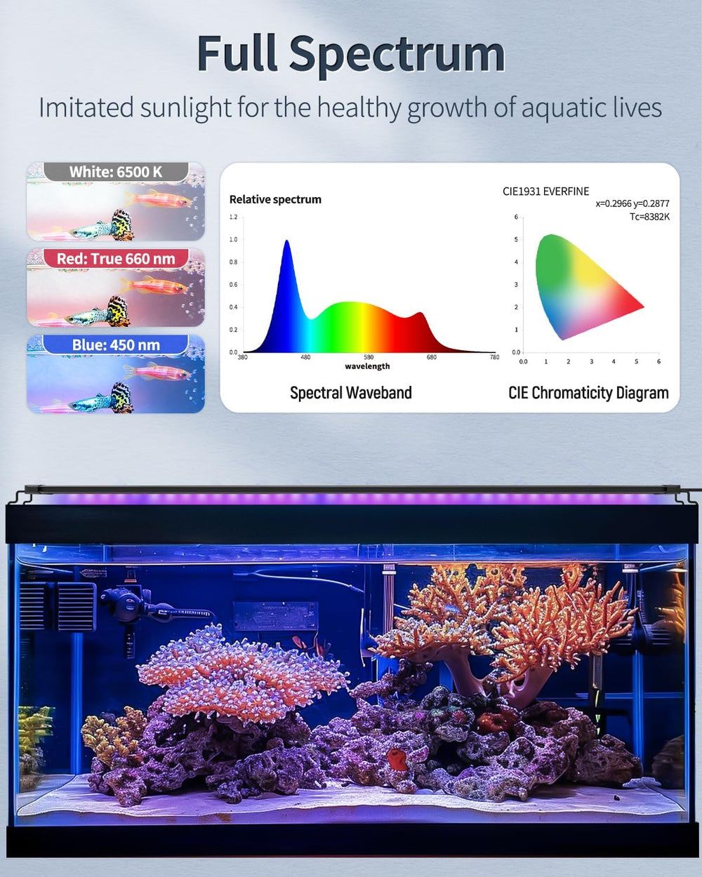 Pawfly day-night modes simulating sunrise and sunset for a natural cycle.