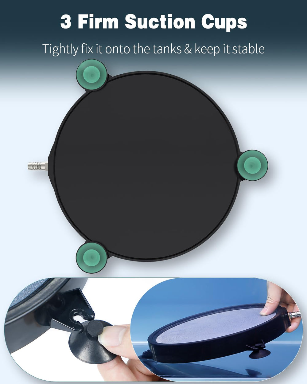 Pawfly dense bubble diffuser promotes efficient gas exchange in large tanks.