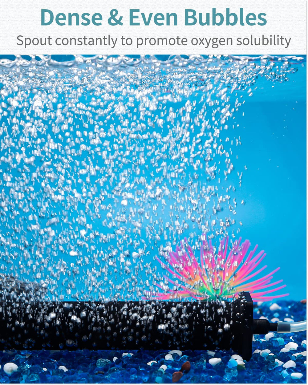 Pawfly diffuser creates dense bubbles for efficient aeration and circulation.