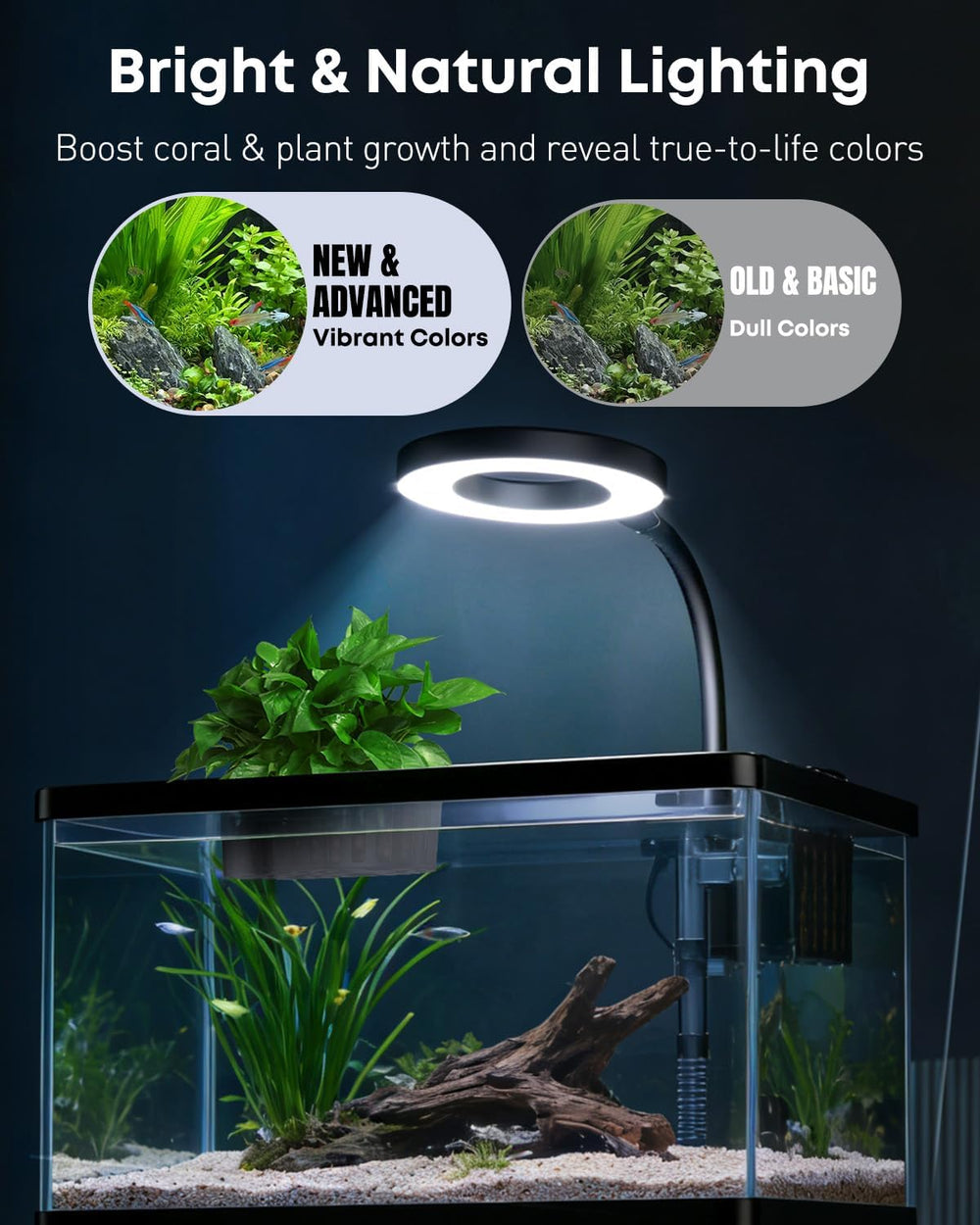 Pawfly hydroponic basket with low-growing aquatic plants.