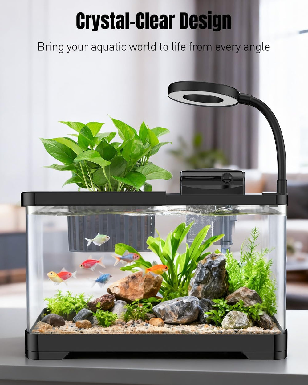 Pawfly manual siphon water changer in action during a water change.