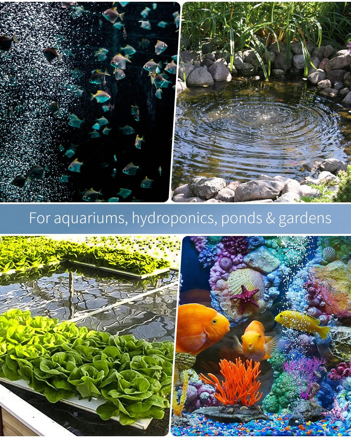 Pawfly setup in a fish tank with tubing for multi-point aeration