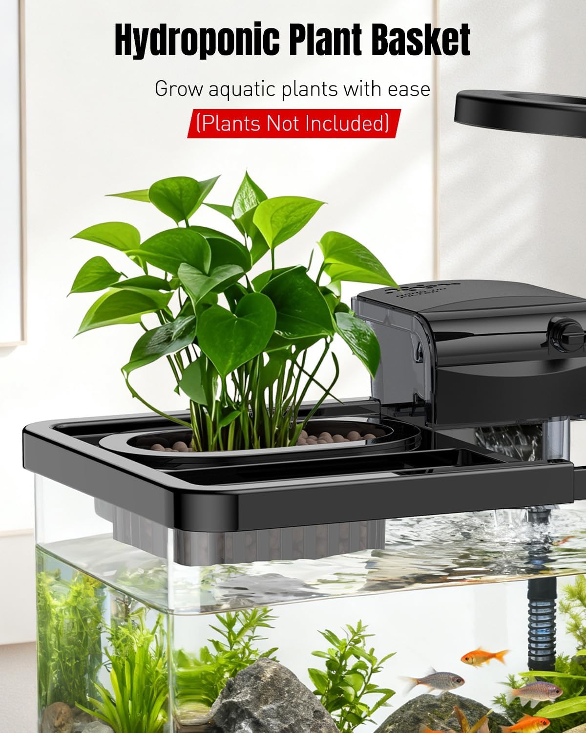 Pawfly removable partial lid shown on top for minimal evaporation.