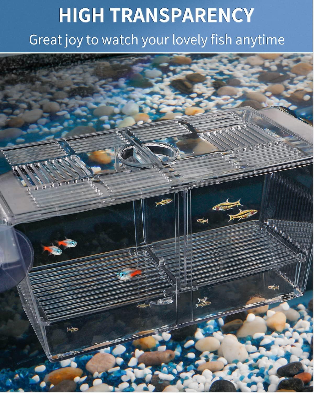Pawfly removable separators create dedicated fry chambers.