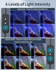 Pawfly night-mode blue light creates calm nocturnal environment for reptiles