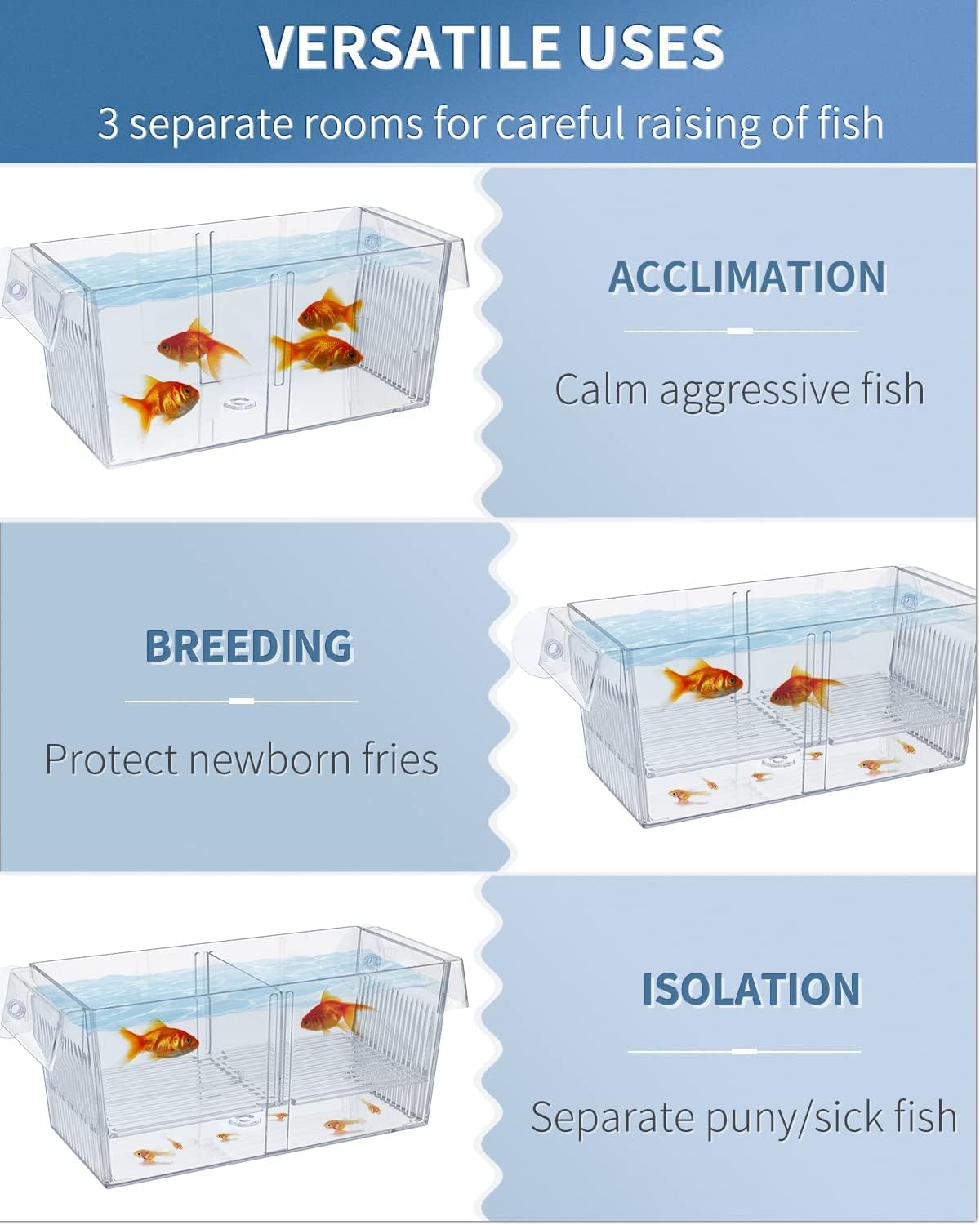 Pawfly transparent acrylic window to observe fry behavior.