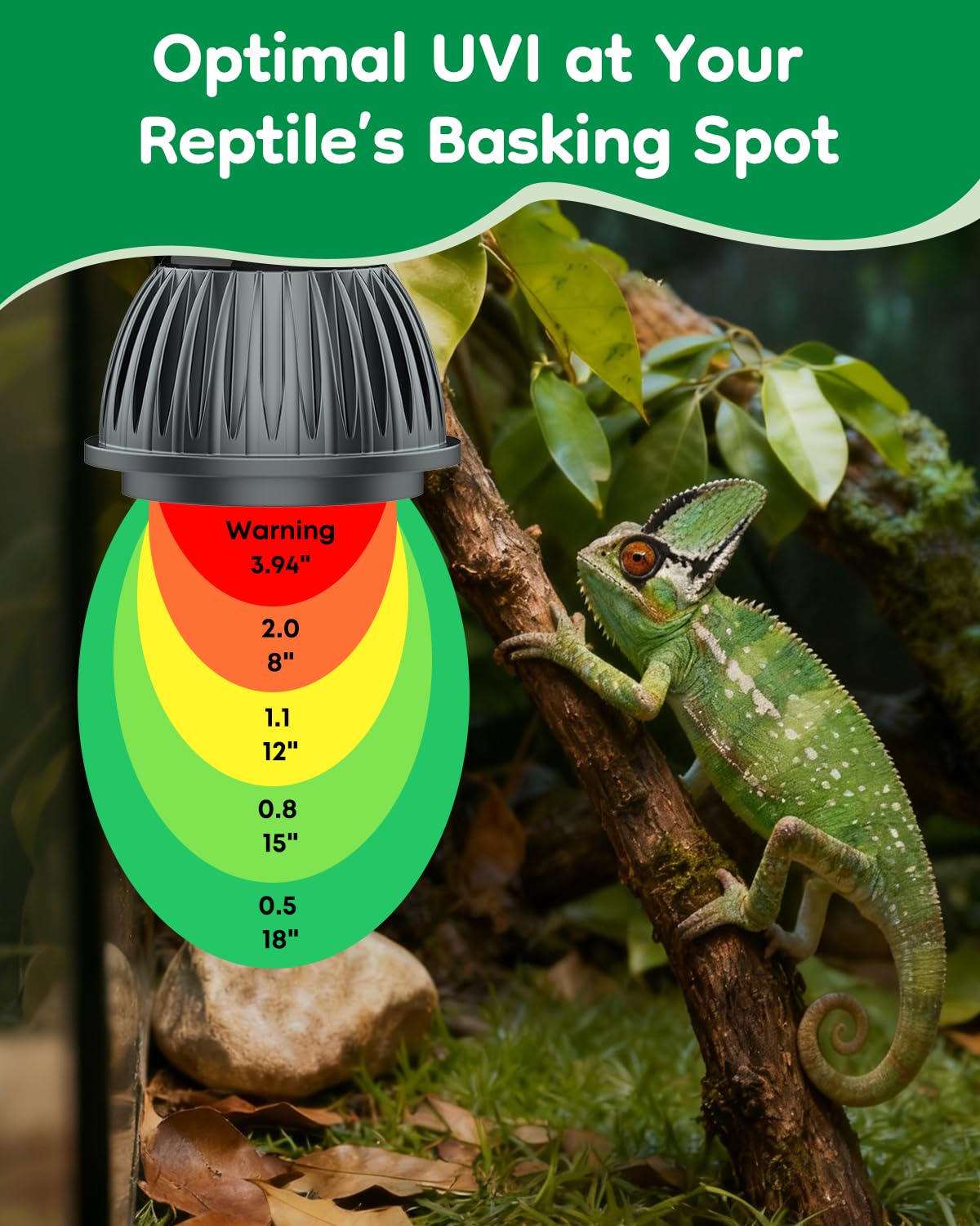 Pawfly UVB light with E26 base fits most fixtures for easy setup.
