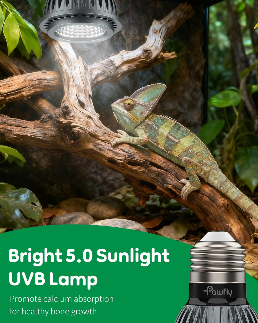 Pawfly UVB light with high CRI shows true colors in the terrarium.