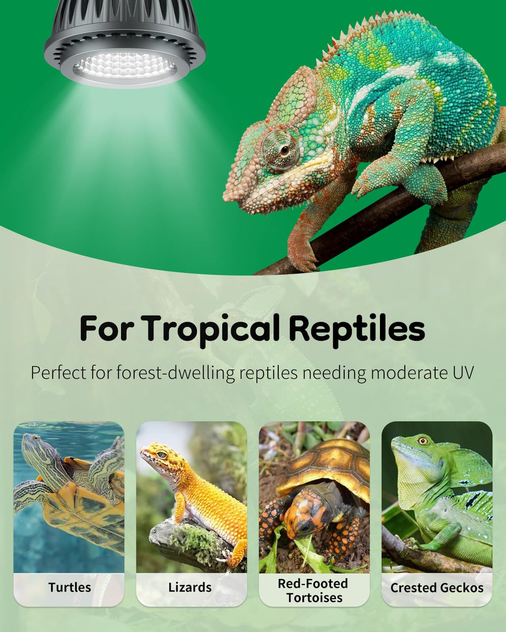 Pawfly UVB lamp designed for tropical reptiles and red-footed tortoise habitats.