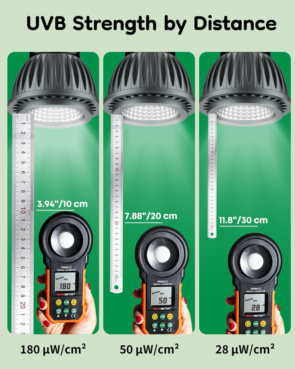 Pawfly UVB lamp supports natural appetite and activity cycles.