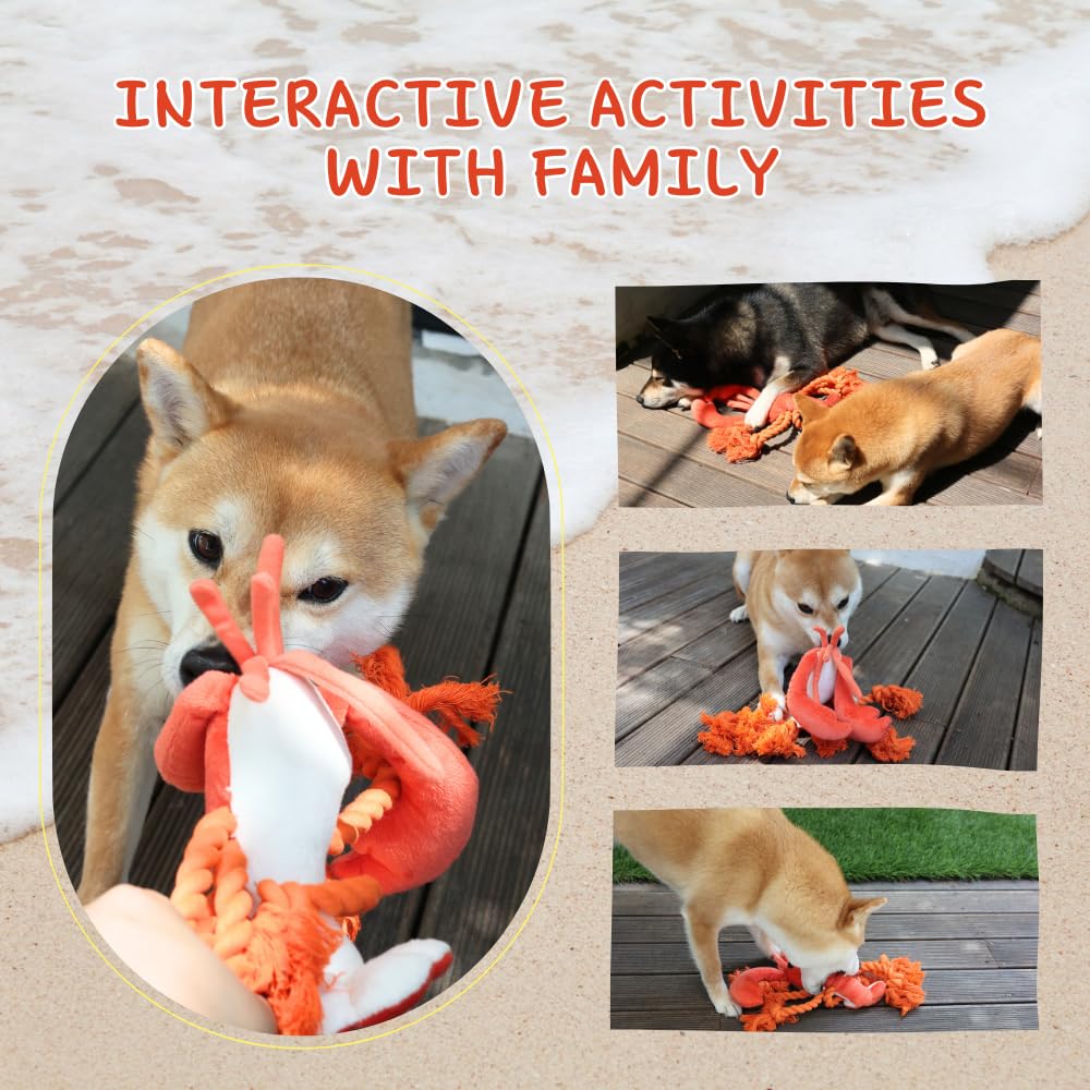 Pawfoo Lab lobster toy gift idea for dogs of all sizes
