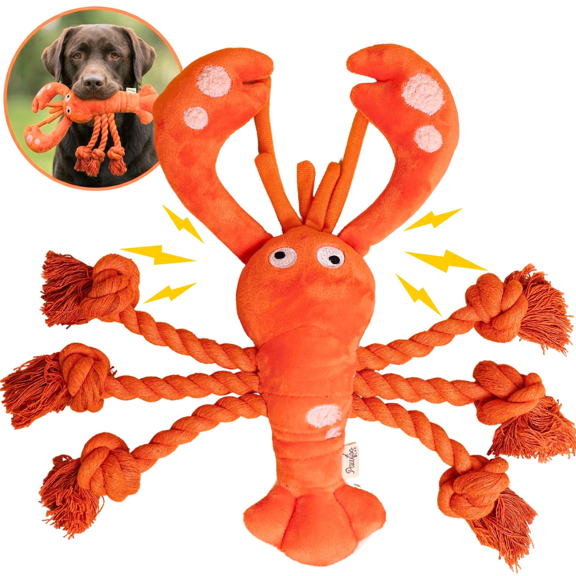 Pawfoo Lab lobster toy head squeaker for interactive play