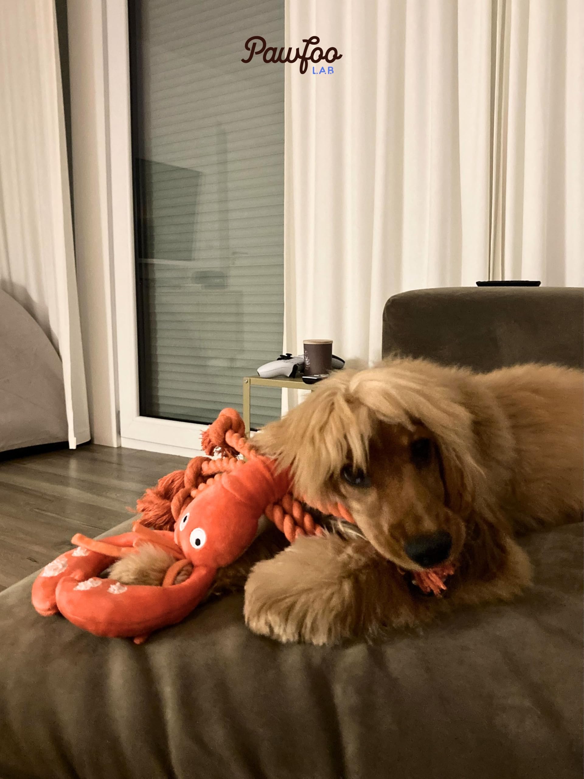 Pawfoo Lab lobster toy suitable size range for puppies to large dogs