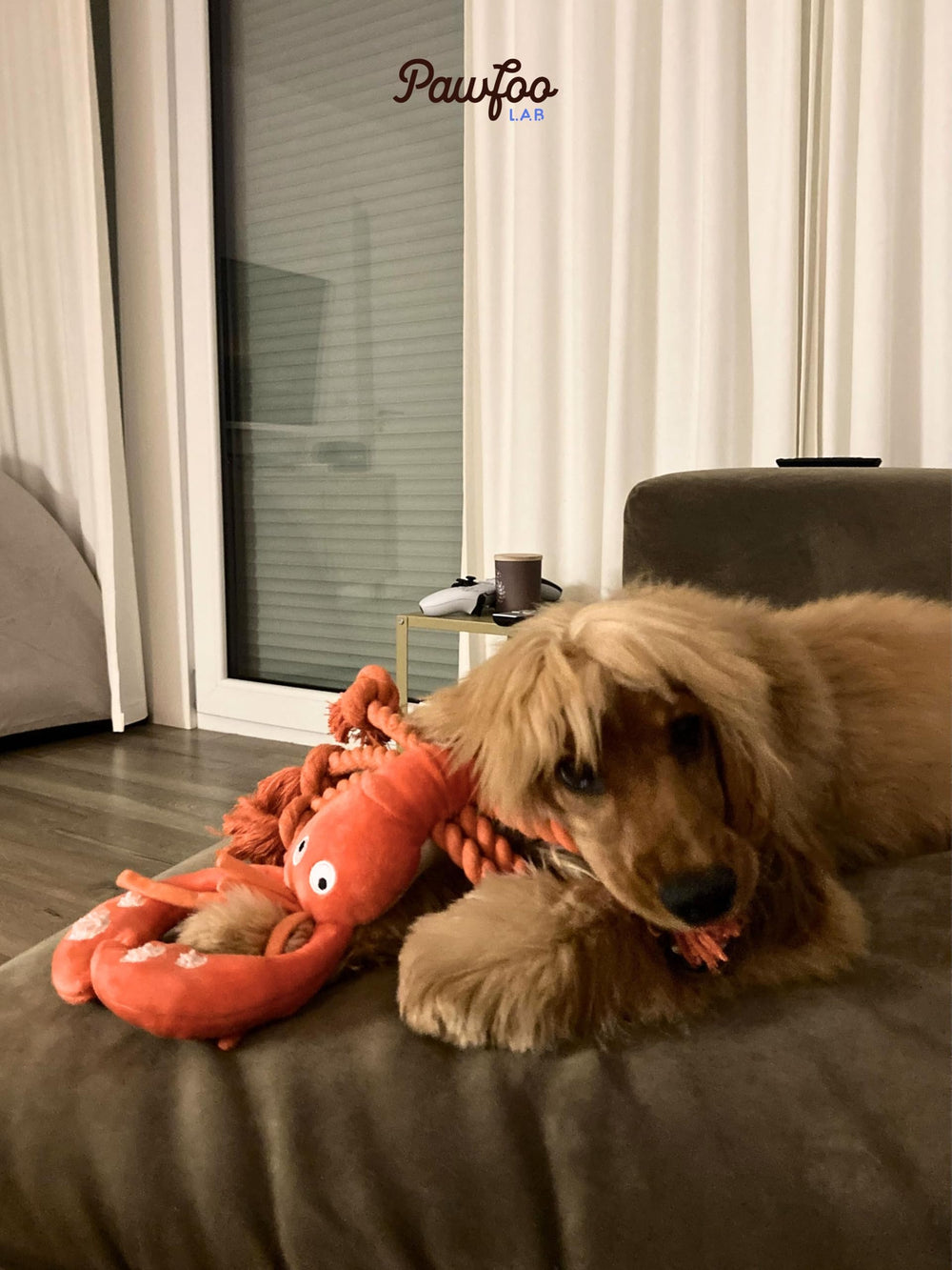 Pawfoo Lab lobster toy suitable size range for puppies to large dogs