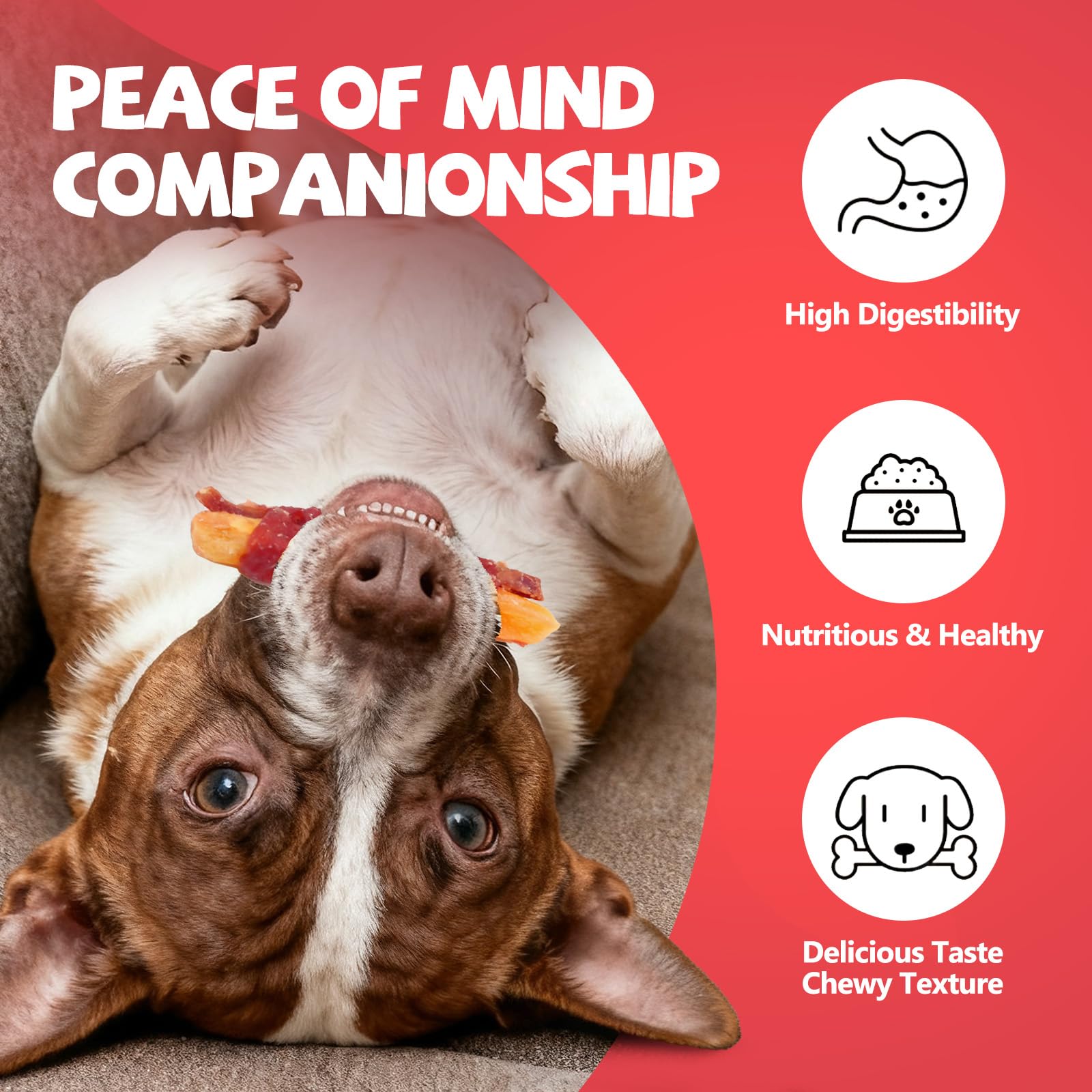 PawFuel dental-care treats highlight chewy texture for chewing and oral health support.
