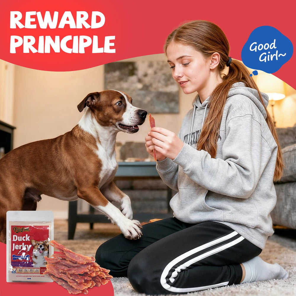 Dog enjoying PawFuel jerky during feeding routine