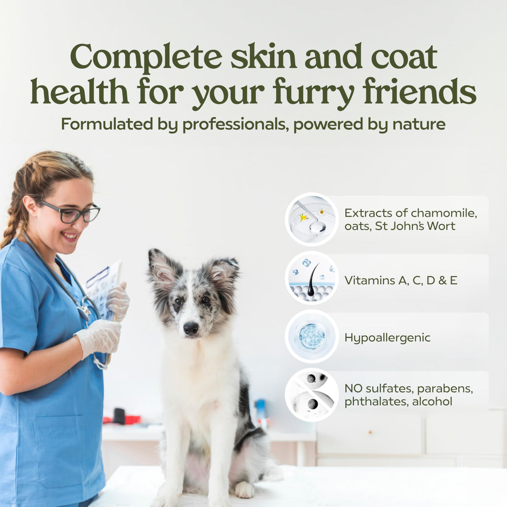 Pawfume leave-in conditioner for dogs shown for daily grooming.