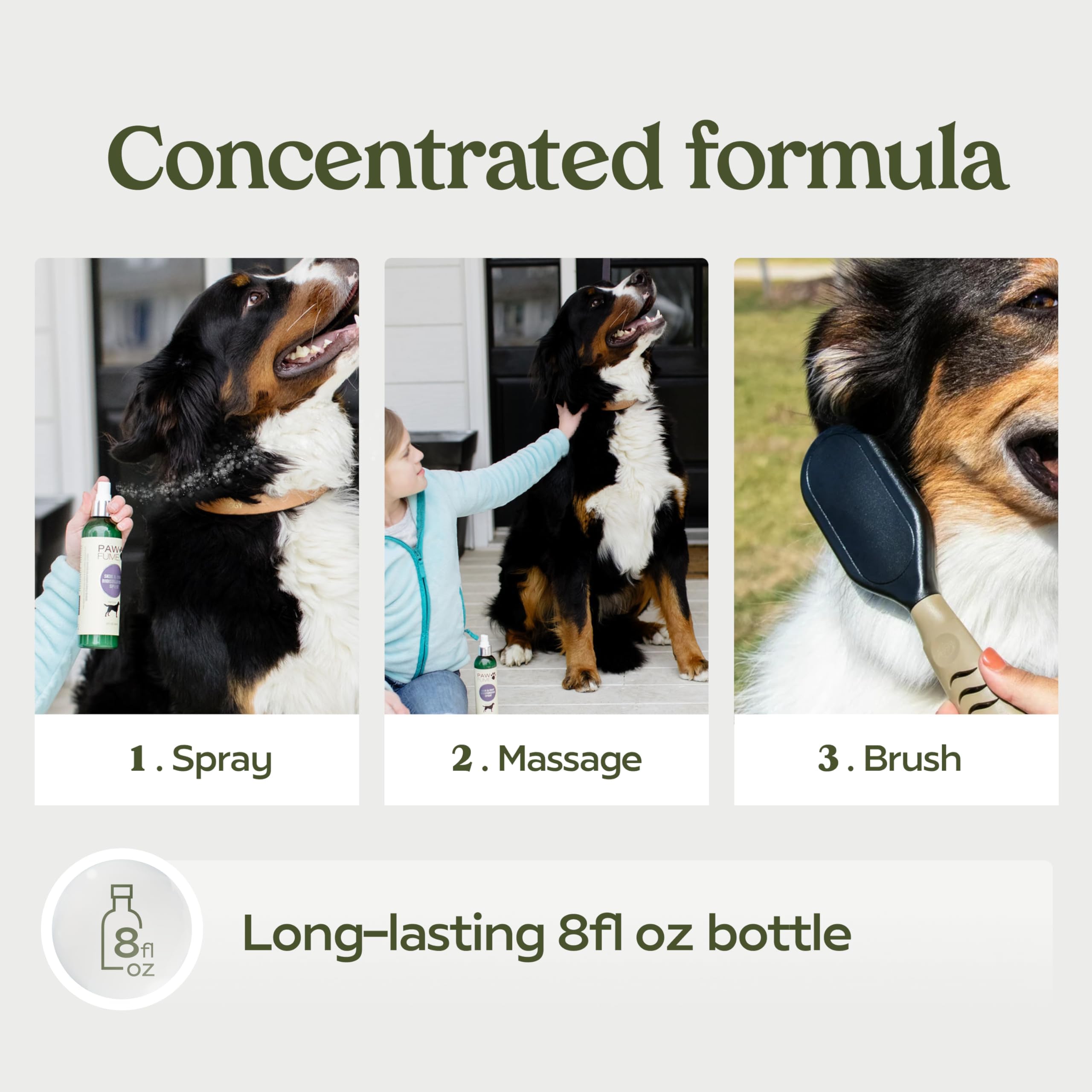 Pawfume spray after-use shine on coat demonstrates healthy-looking finish.