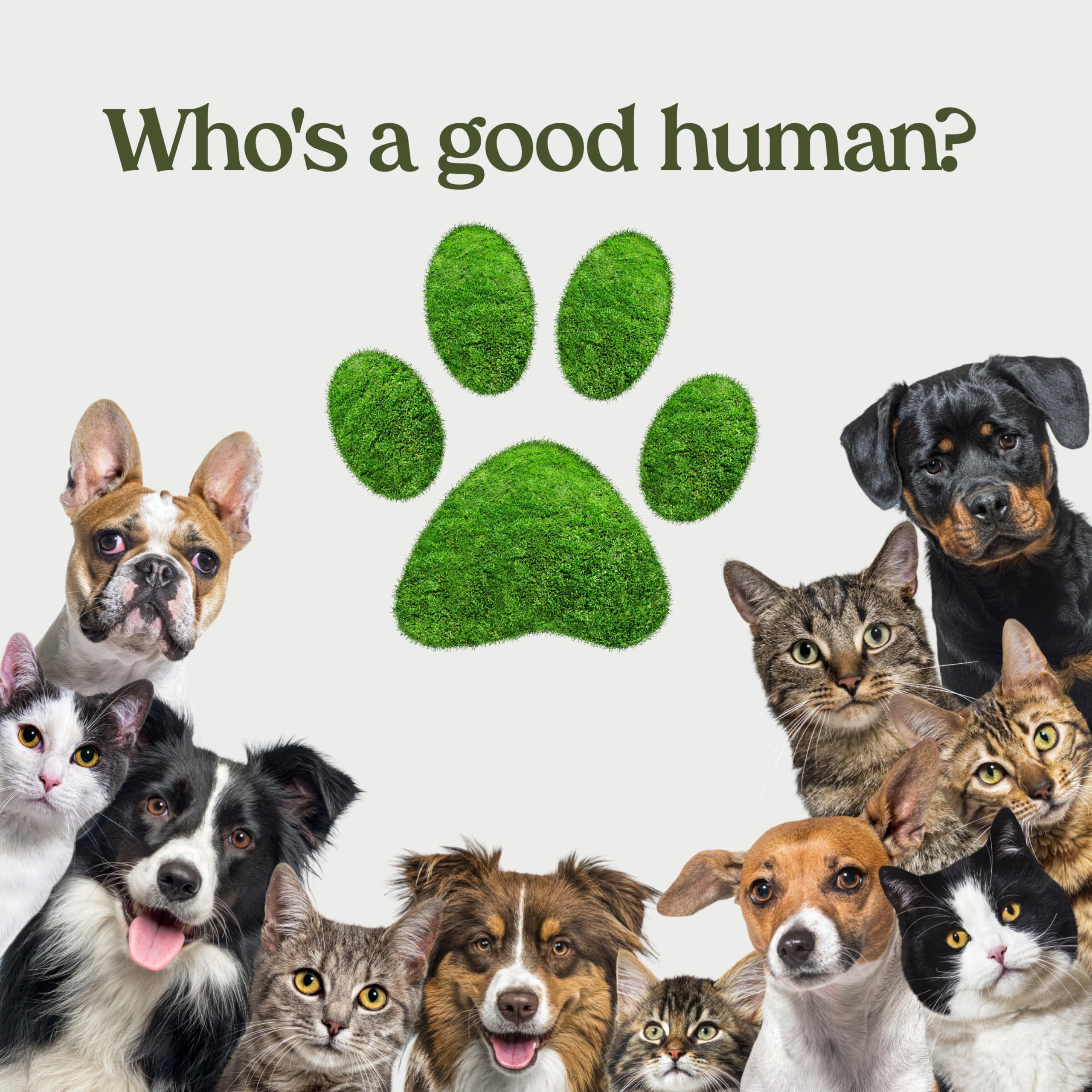 Pawfume vet-certified dog detangler badge highlights trusted formulation.