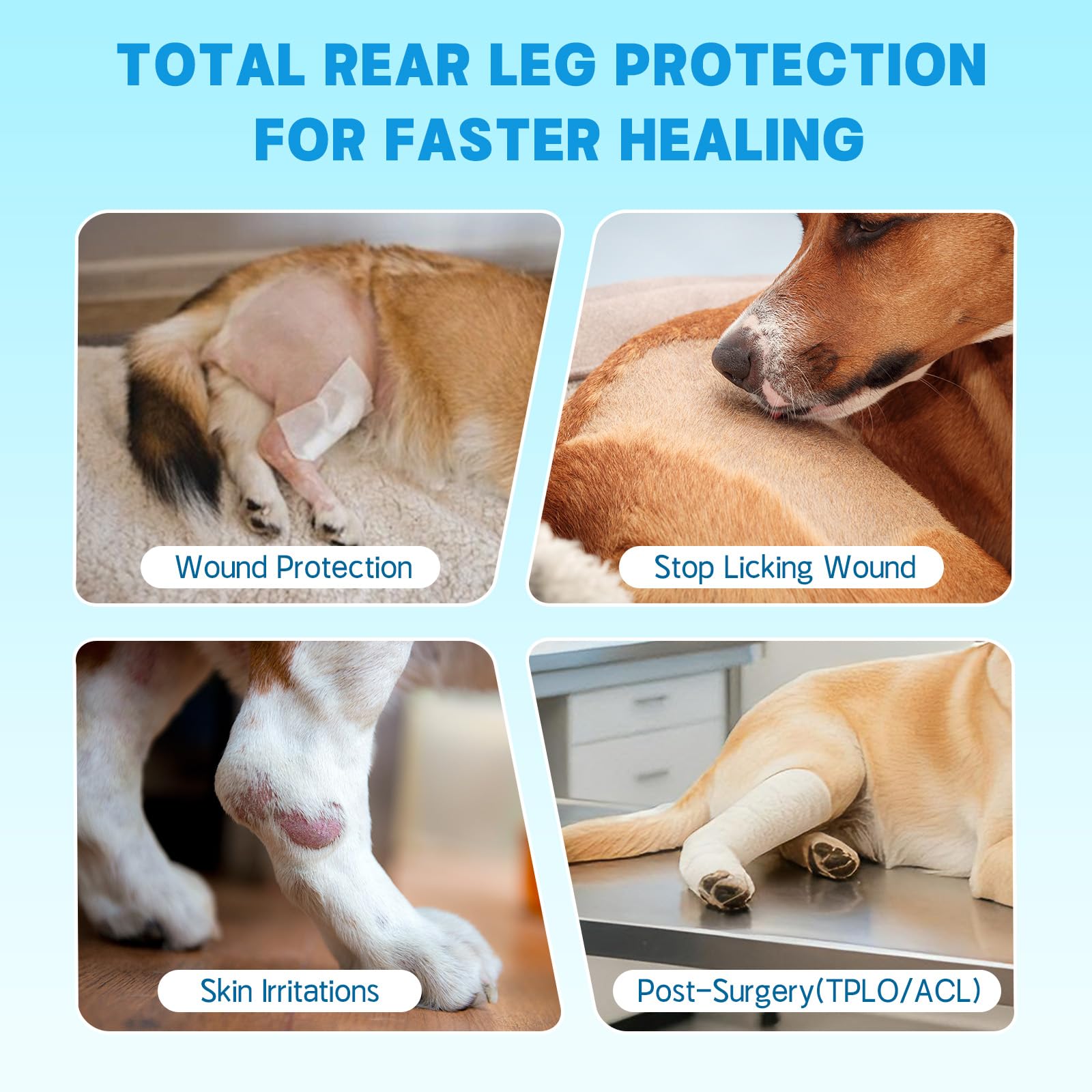 Pawfun breathable inner lining and chew-resistant outer layer.