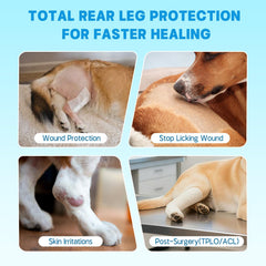 Pawfun breathable inner lining and chew-resistant outer layer.