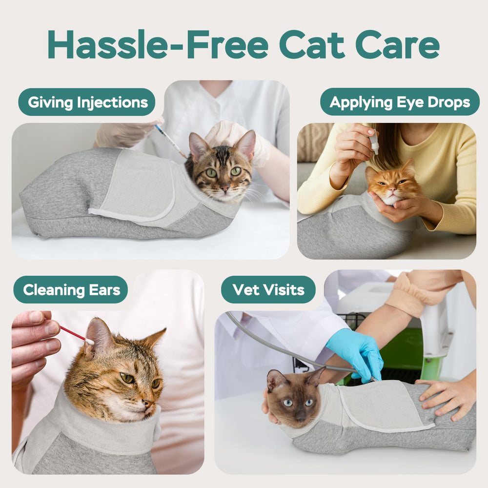 Pawfun wrap aiding brushing and dental care at home