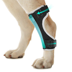 Pawfun dog leg brace back left angle supports stabilized movement during walks