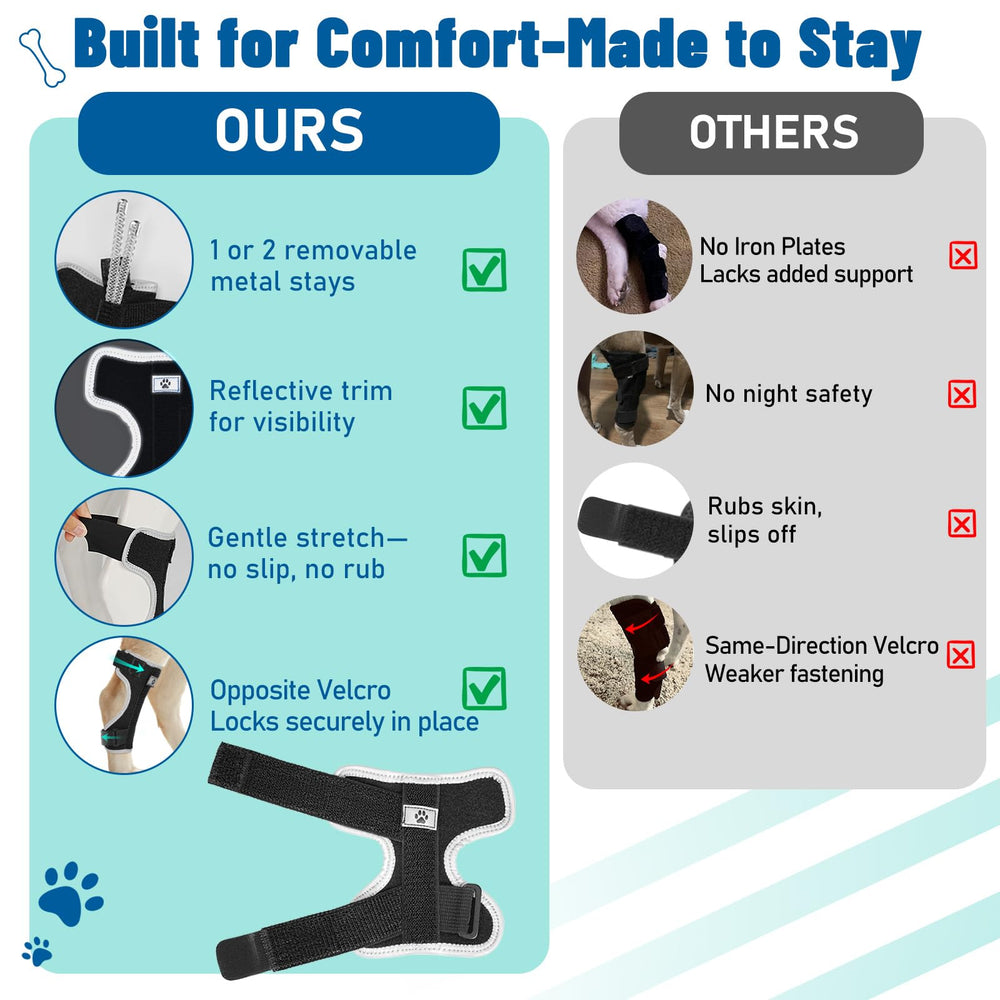 Pawfun dog leg brace front-view highlights secure fit during daily activity