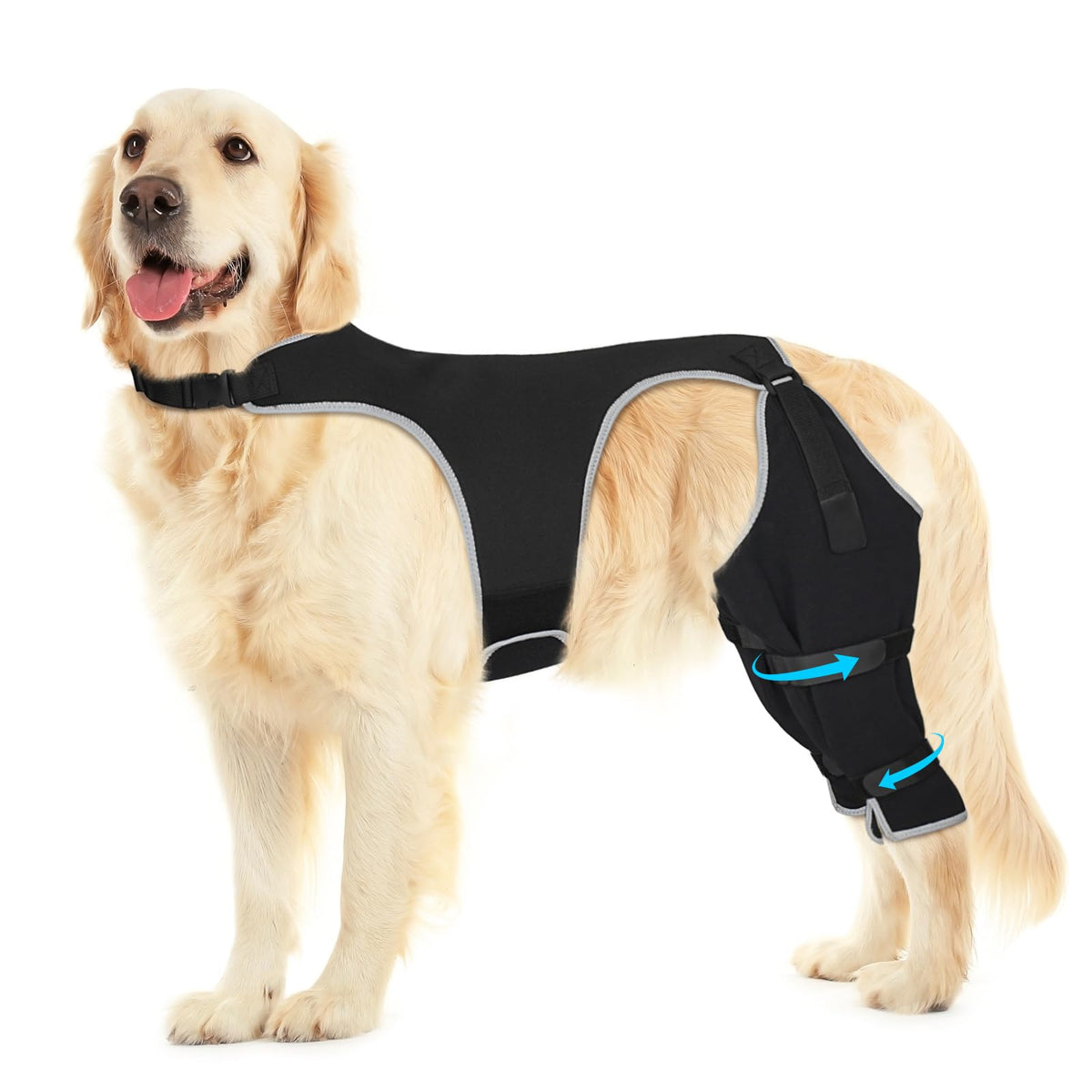 Pawfun dog rear leg sleeve demonstrating wound protection during a walk.